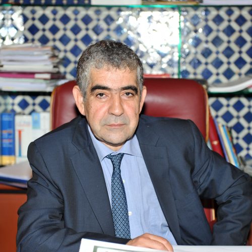 Mr. Driss El Yazami